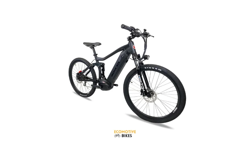 Ebike with disc brake