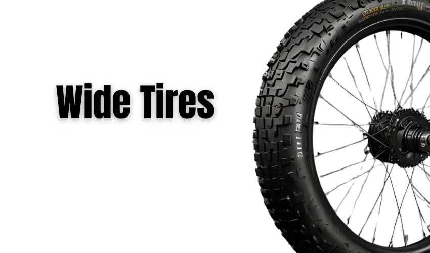 Wide tires for e-bike